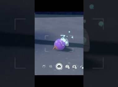 ポケモンヒーリング　ミズゴロウ編