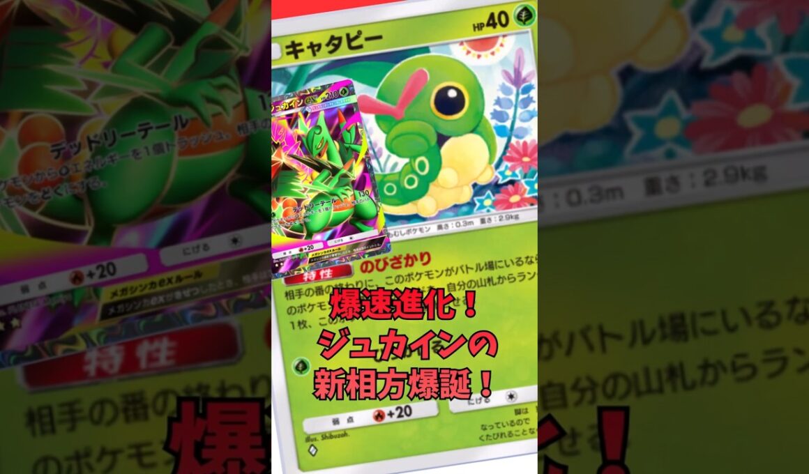 キャタピーで爆速圧縮！メガジュカインド安定！#shorts #pokemon #ポケポケ #ポケモンカード