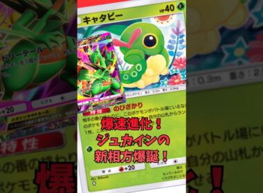 キャタピーで爆速圧縮！メガジュカインド安定！#shorts #pokemon #ポケポケ #ポケモンカード