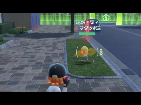 色違いオヤブンマダツボミ