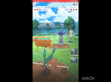 初手にフラージェス使ってみた‼️