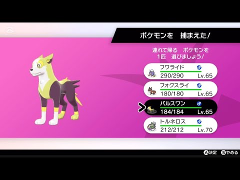 色違いパルスワン