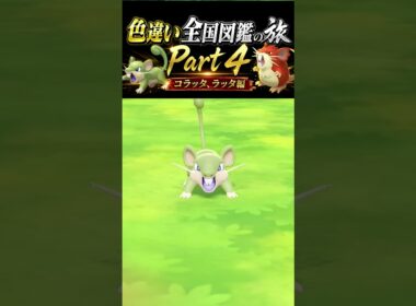 ＜色違い全国図鑑の旅Part4＞マジで苦行！！本当に地獄だった…。コラッタ、ラッタ♂♀両方色違い厳選！！！まさかの7体のコラッタを捕まえることに？　#ポケモン  #pokemon  #色違い #配布