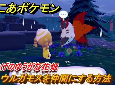 ぽこあポケモン　ウルガモスを仲間にする方法　木かげのゆうがな花畑　＃３１４　【ぽこポケ】
