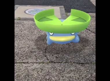 연꽃몬 ( Lotad ) ハスボー
