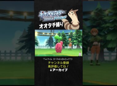 【オオタチ縛り旅】ジムリーダーのチェリンボ＆ナエトルを連続ワンパンするオオタチ。【ダイパリメイク／ポケモン／生放送切り抜き】