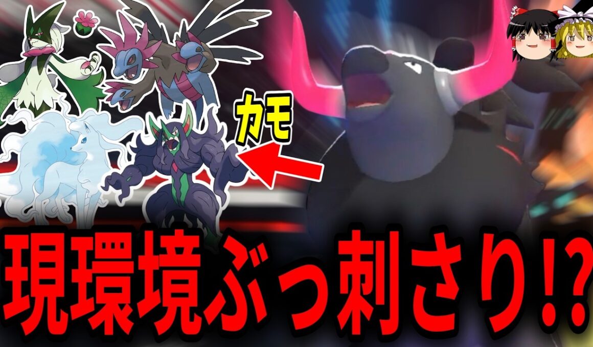 まだバレてない？実は現環境『炎ケンタロス』がぶっ刺さってます【ポケモンチャンピオンズ】【ゆっくり実況】