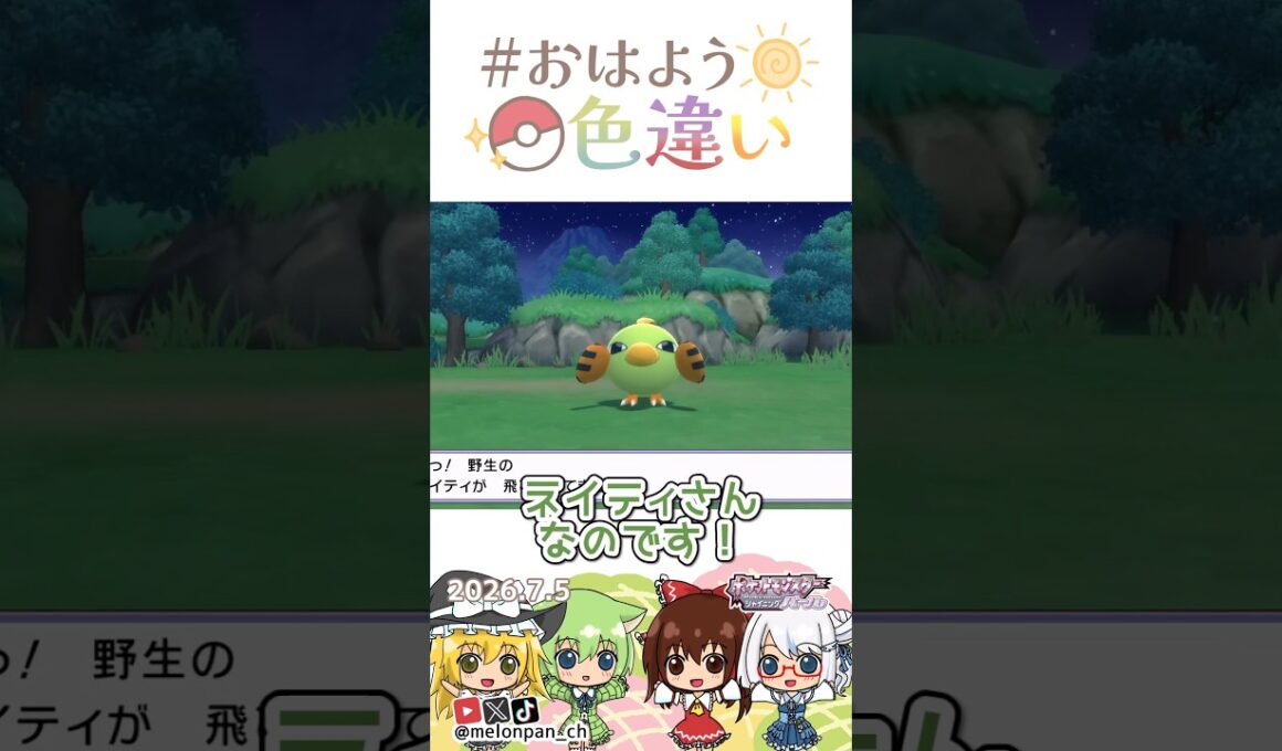 ☀️目つきが鋭い！推しポケ、色違いネイティ👁️✨2026年7月5日 #おはよう色違い #おは色 #ポケモン