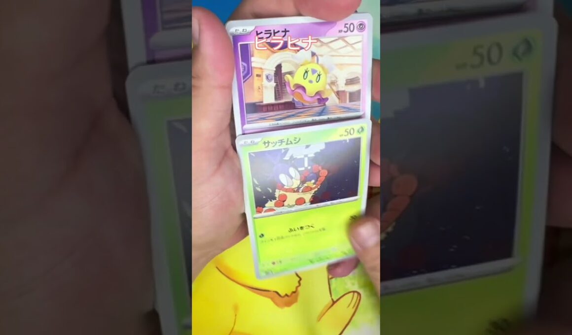 【毎日ポケモンクイズ】次の進化系をコメントで答えてね✨️マダツボミ→○○○○#ポケモンカード #ポケカ開封 #ポケモン #ポケモンクイズ #1日1パック開封