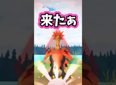 【PokemonGO】vsガラルサンダー【ブルックGO】