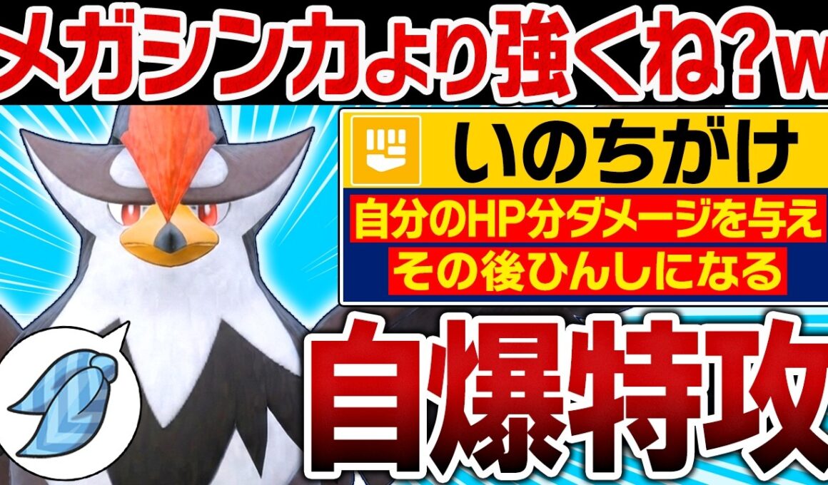ムクホーク「メガシンカすると思った？w」←「いのちがけ」で自爆するスカーフ型が予想外に強くてヤバい【ポケモンチャンピオンズ】
