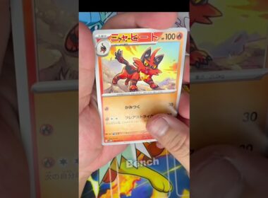【毎日ポケモンクイズ】次の進化系をコメントで答えてね✨️ヒトモシ→○○○○○#ポケモンカード #ポケカ開封 #ポケモン #ポケモンクイズ #1日1パック開封#ポケモンクイズ