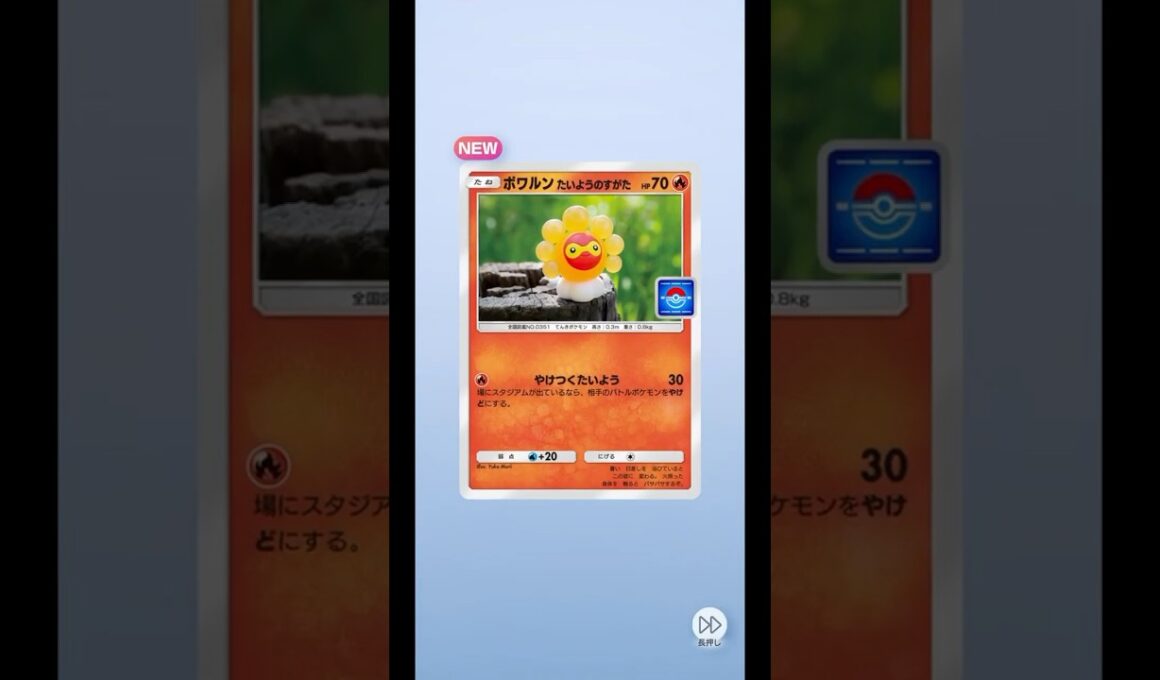 ポケポケ 1パック開封｜PROMO-B Vol.8｜ポワルン たいようのすがた【実況なし】