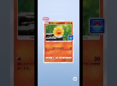 ポケポケ 1パック開封｜PROMO-B Vol.8｜ポワルン たいようのすがた【実況なし】
