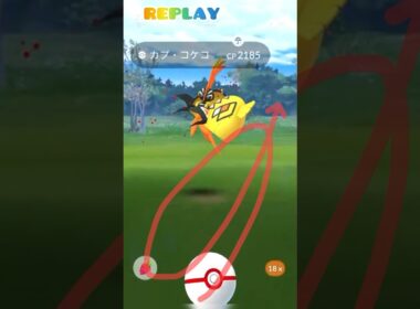 《ポケモンGO》某Ｕネコさんによる捕獲シーン神動画〜カプ・コケコ編〜