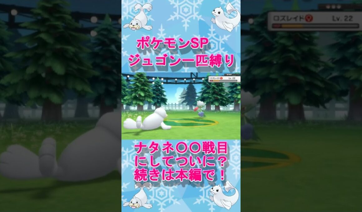 ジュゴン一匹縛り#8ナタネ戦にてワンチャン。ナタネ消えてるのバグですか？