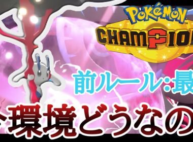 2ヶ月連続1位で前環境を支配していた『メガフラエッテ』って今はどうなの？ [ポケモンチャンピオンズ] M-B
