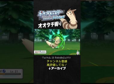 【オオタチ縛り旅】ロズレイドに2回6タテされたので、少し本気を出してみたオオタチさん。【ダイパリメイク／ポケモン／生放送切り抜き】
