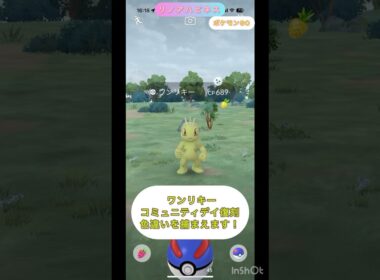 #PokemonGO #ポケモンGO #2025 #コミュニティデイ #復刻 #ワンリキー の #色違い を捕まえたい