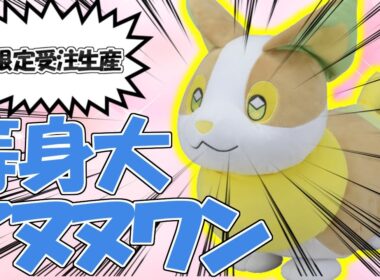 【開封動画】激レアワンパチを先行入手したので開封してみた【蒼希ゆの】