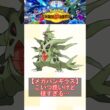 【メガバンギラス】こいつ脆いけど硬すぎる…