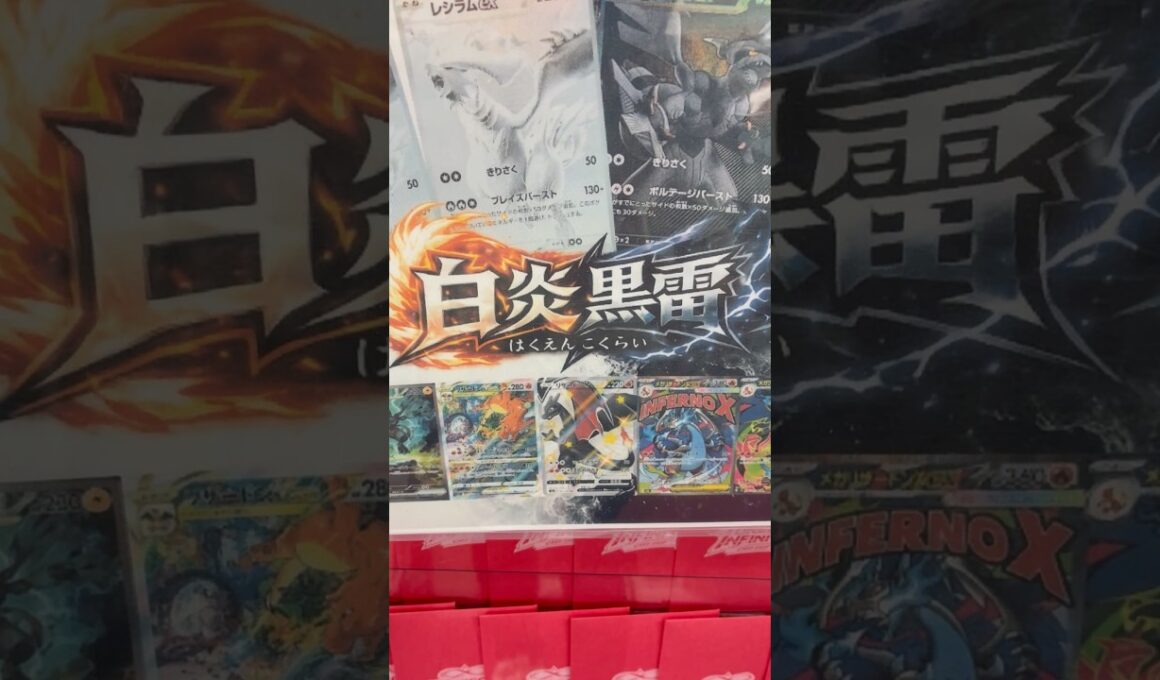 【#ポケカ】レシラム・ゼクロムのＭＵＲが４枚も入ってるオリパを開封 #ポケモンカード