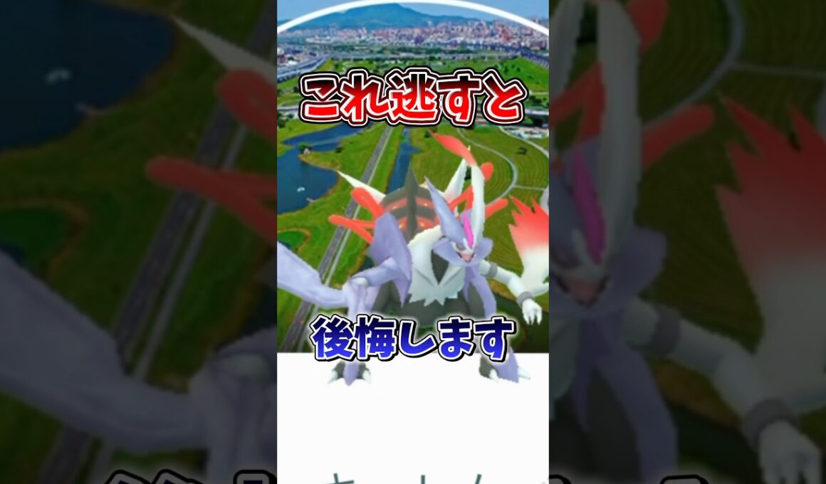 【注意】⚠️最強復刻⚠️知らないと後悔確定...。最強火力のホワイトキュレム、月食ネクロズマ、ゼクロムが復刻決定！しっかり対策とポイントに気をつけて！【ポケモンGO】#ポケモンGO #島名なまし