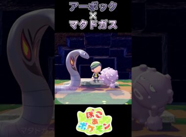 【ぽこあポケモン】脅かしに命を懸けるアーボック【ポケモン】