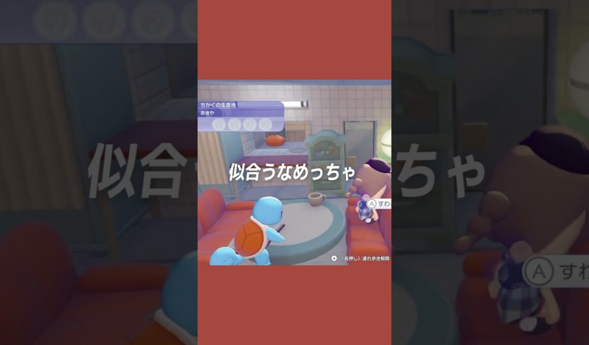 【ぽこポケ】ゼニガメカラーの部屋作り🐢🩵【ぽこあポケモン】