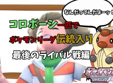 初見でコロボーシ１匹縛りの旅～最後のライバル戦～【ポケットモンスター ブリリアントダイヤモンド・シャイニングパール / BDSP】