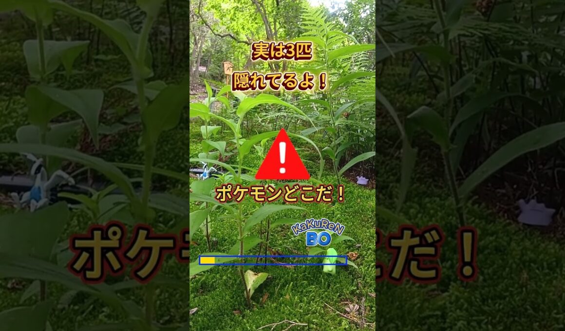 ポケモン かくれんぼ 実は3匹隠れてます