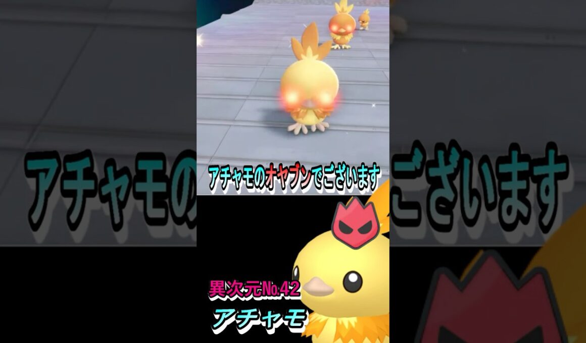 オヤブン色違い図鑑完成させる！ーアチャモー 【ポケモンレジェンズZA／M次元ラッシュ】 #色違いポケモン