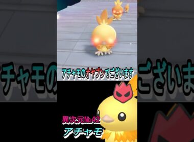 オヤブン色違い図鑑完成させる！ーアチャモー 【ポケモンレジェンズZA／M次元ラッシュ】 #色違いポケモン