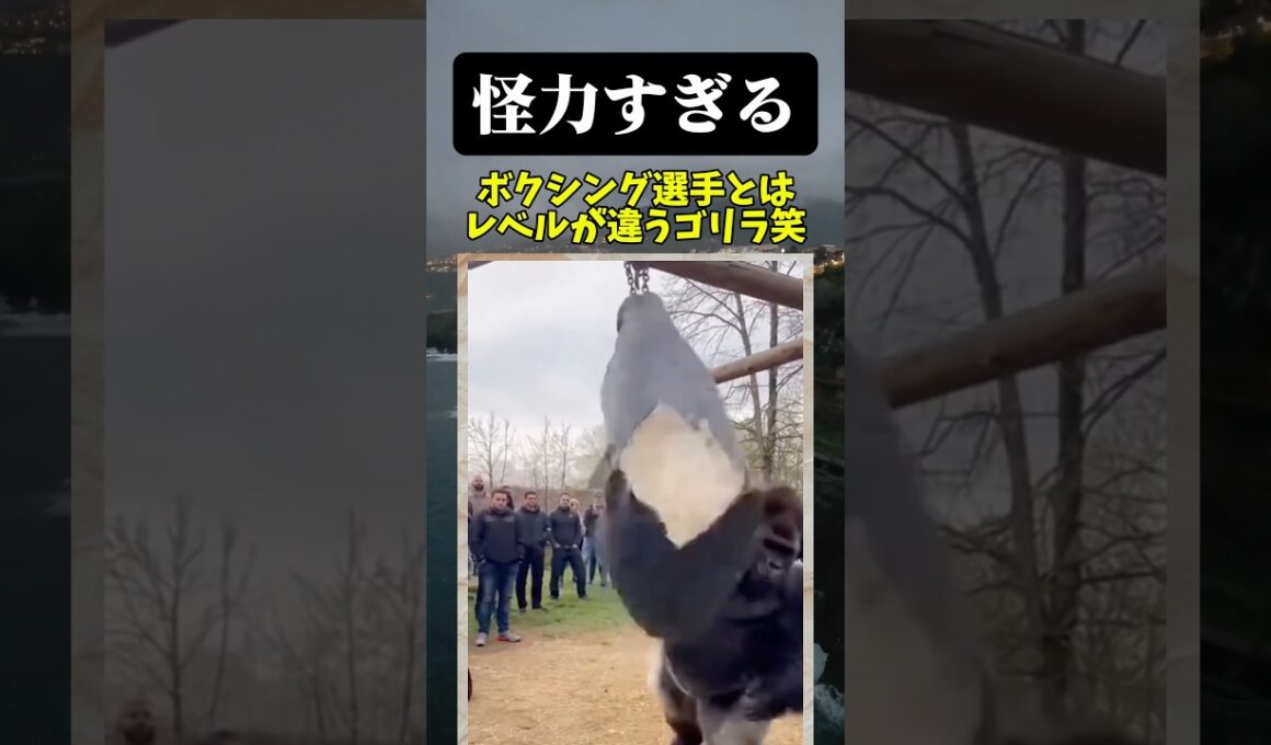 サンドバックぶっ壊れてるて笑笑
