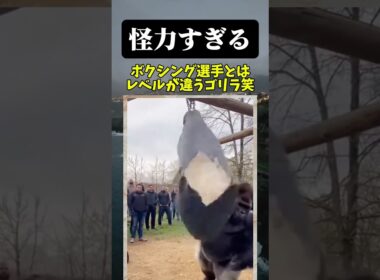 サンドバックぶっ壊れてるて笑笑
