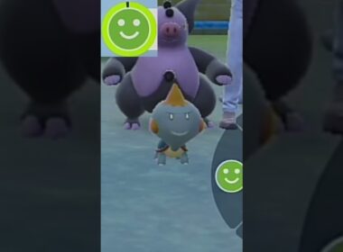 【カムカメ】ポケモンエクササイズ【キタカミ図鑑No.183】#Shorts #pokemon