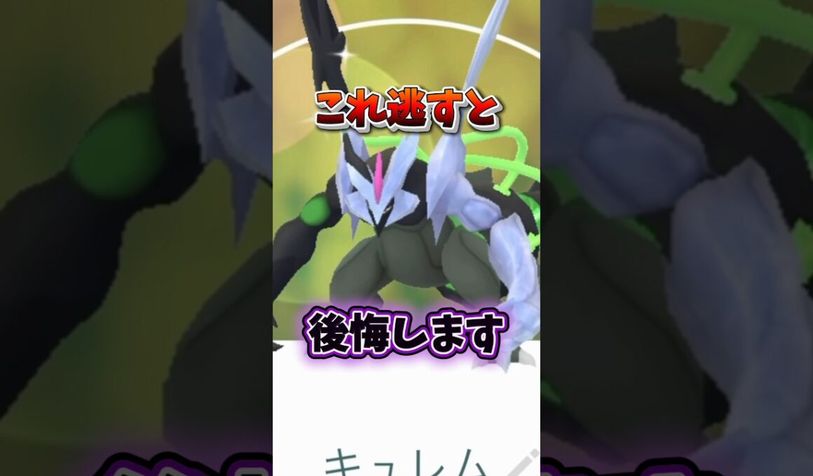 【注意】⚠️最強復刻⚠️知らないと後悔確定。最強効果のブラックキュレム、日食ネクロズマ、レシラムば復刻決定！大いなる軌跡3日目【ポケモンGO】#ポケモンGO #島名なまし　#大いなる軌跡