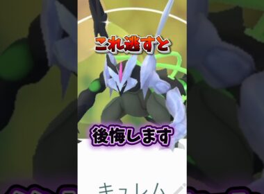 【注意】⚠️最強復刻⚠️知らないと後悔確定。最強効果のブラックキュレム、日食ネクロズマ、レシラムば復刻決定！大いなる軌跡3日目【ポケモンGO】#ポケモンGO #島名なまし　#大いなる軌跡