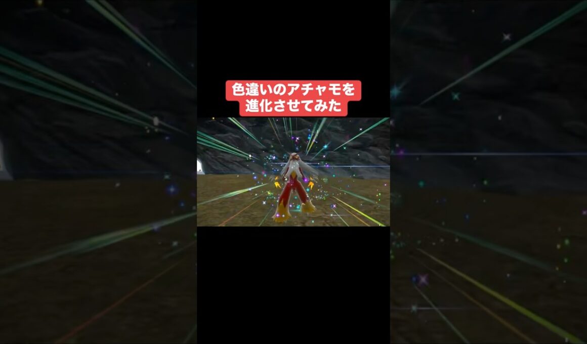 色違いのアチャモを進化させてみた【ポケモンSV】