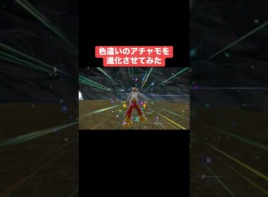 色違いのアチャモを進化させてみた【ポケモンSV】