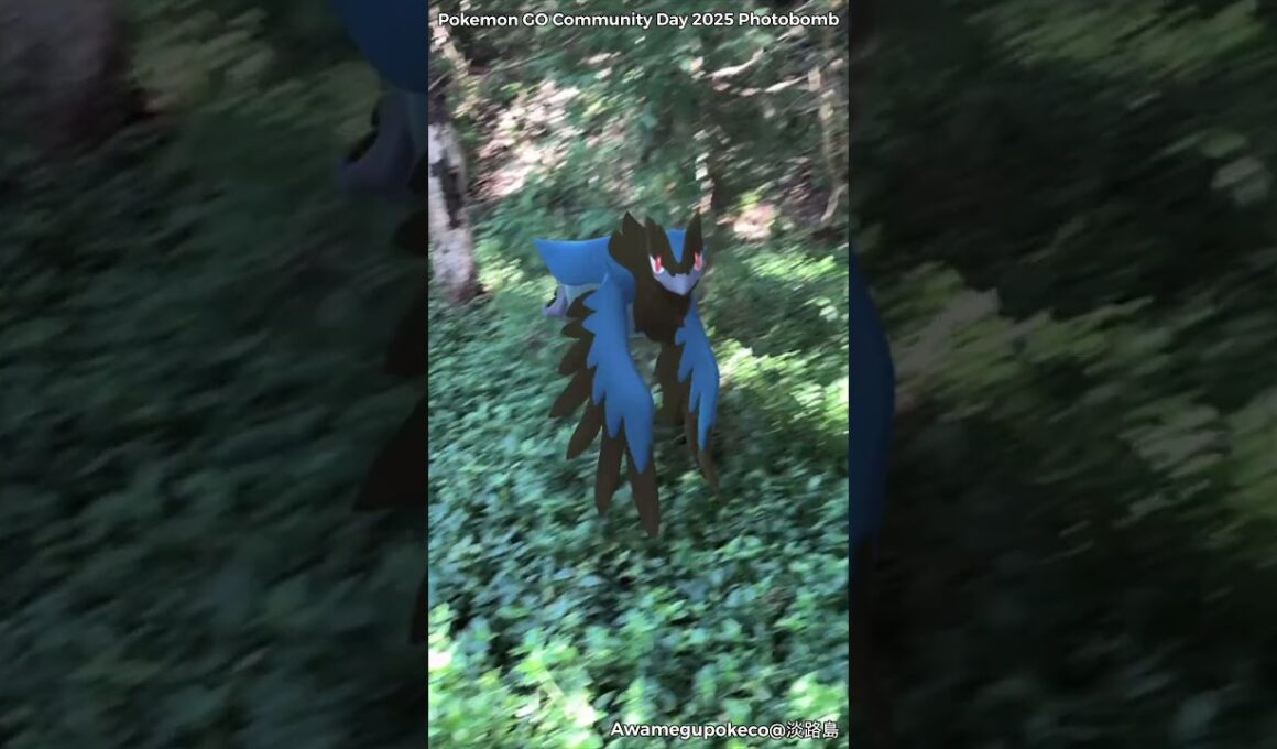 ココガラ｜Rookidee｜アオガラス｜Corvisquire｜アーマーガア｜Corviknight【ポケモンGO】PoKeMoN GO AR｜AR動画｜GOsnapshot｜gophotobomb