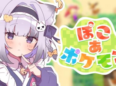 【ぽこあポケモン】　好きなポケモンはツタージャです