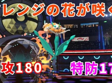 オレンジ色のフラージェスがゆく！【ポケモンチャンピオンズ】