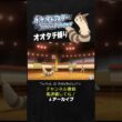 【オオタチ縛り旅】ジムリーダーのアサナンを最強特性でわからせるオオタチさん。【ダイパリメイク／ポケモン／生放送切り抜き】
