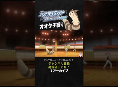 【オオタチ縛り旅】ジムリーダーのアサナンを最強特性でわからせるオオタチさん。【ダイパリメイク／ポケモン／生放送切り抜き】