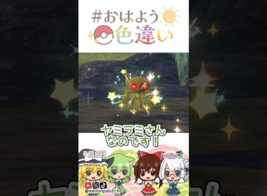 ☀️宝石キラキラムシャムシャ！色違いヤミラミ💎✨2026年7月8日 #おはよう色違い #おは色 #ポケモン