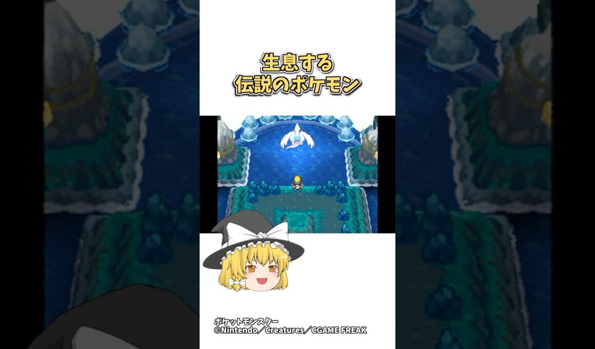 【ポケモン】見た目と中身が違うタイプ詐欺ポケモン3選 #ポケモン #shorts