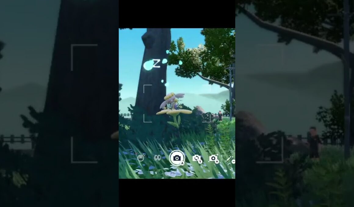 ポケモンヒーリング　フラベベ編