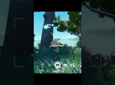 ポケモンヒーリング　フラベベ編