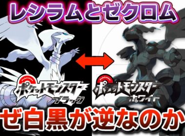 ゼクロムがホワイト、レシラムがブラックなのは何故なのか